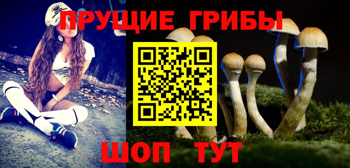 купить наркотики сайты  Вход с VPN  Краснокаменск  Галлюциногенные грибы Psilocybine cubensis 